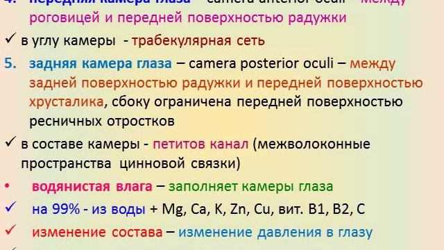 Сенсорные системы