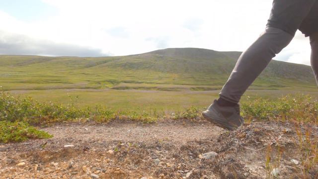 Горы невозможно забыть. Kungsleden