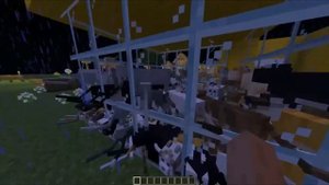 бабушка кошатница (minecraft meme) ?