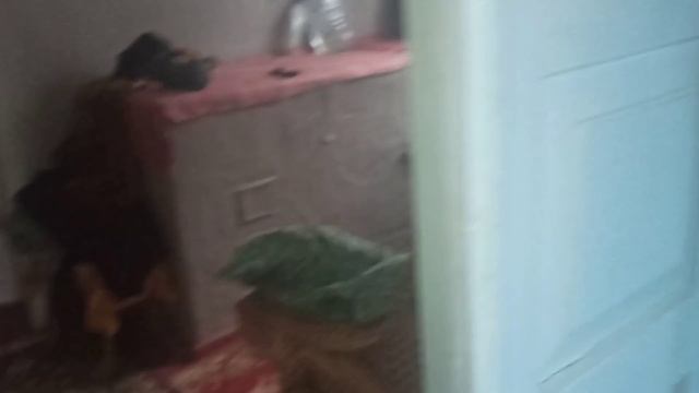 ЦЕНА СНИЖЕНА: Обзор дома за 12тыс.$. Торг. Рядом река, лес, 4 км. до города. Полтавская область. смотреть онлайн