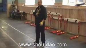 ШОУ ДАО / Удары руками. Часть 2.