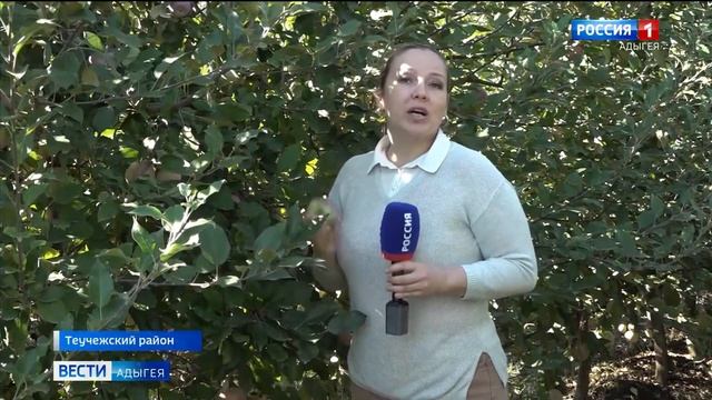 В РА заложено более 2,5 тыс га садов интенсивного типа смотреть онлайн