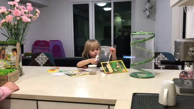 Выращиваем ЖИВЫХ БАБОЧЕК дома! Часть 1 Домик для бабочек и гусеницы | Сашины науки смотреть онлайн