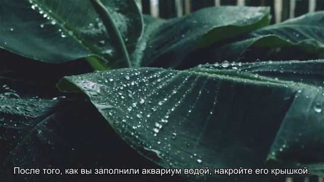 Секреты прозрачной воды смотреть онлайн