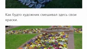 Клумба прямоугольной формы.  Лучшие фото варианты. 15 идей.