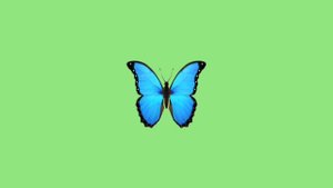 Kacey Musgraves - Butterflies (Official Audio)