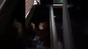 Перегон грузовых автомобилей по России