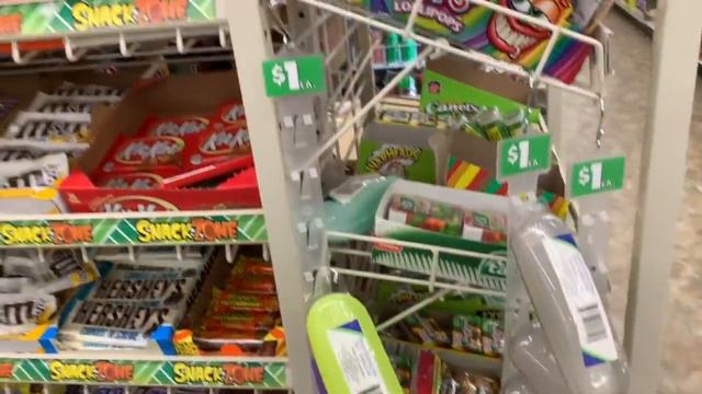 DOLLAR TREE SHOPPING!!! *NEW FINDS* + LOTS OF NAME BRANDS!!!