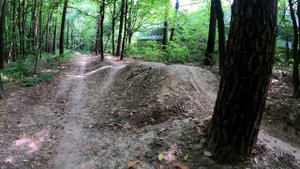 Riders Хмельника. По лесу из санатория "Хмельник" в "Берёзовый Гай" Винницкая обл. Украина