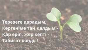 Авторские адаптивные стихотворения на казахском языке для детей. Көктем туралы тақпақ.