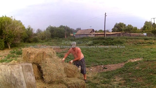 Домик в Посёлке #9! Сено,сено и еще раз сено!! смотреть онлайн