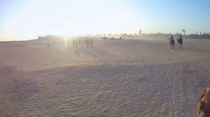 Тунис - полный обзор - 5* отель, пляж в лучшем курорте и экскурсии по главным достопримечательностя