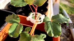 Инструменты для сада и огорода из Китая