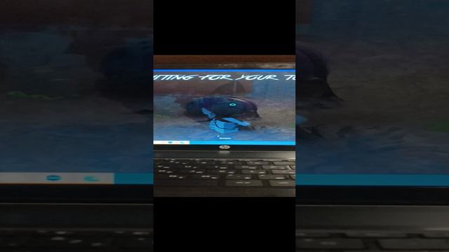 Много матов