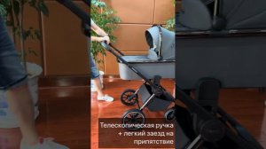 Детская коляска Peppy Monaco 2в1