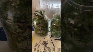 Самый быстрый и простой способ приготовления ферментированного чая! Малиновый чай!