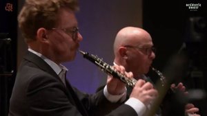 W.A. Mozart, Cara lontano ancora - Gerben van der Werf