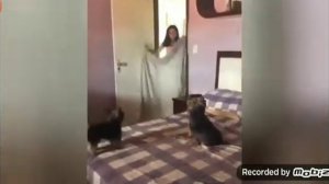 Не засмейся челенж засмеялся проиграл