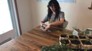 Как сделать горшок для рассады из газеты