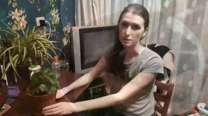 Ice Rose пиларгония (герань). Обзор сорта. Правильная упаковка растений при пересылки