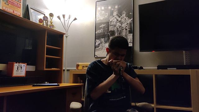 Hohner Harp Blaster HB52 Harmonica Microphone Fender Mustang I Amp (Hohner Crossover Key of A) смотреть онлайн