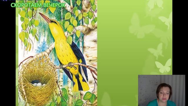 "Лесные домишки" смотреть онлайн