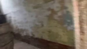 Как победить в пейнтболе