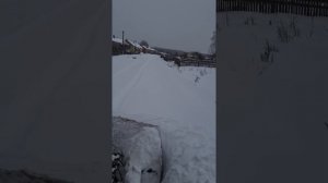 ДТ-75 косой отвал. Очистка снега.