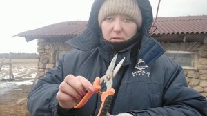 Стрижка копыт у коз. Используем удобный инструмент.