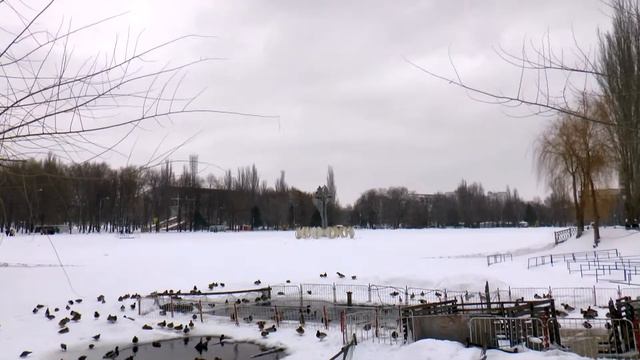 Парк Металлургов г Самара 23 02 2016 г смотреть онлайн