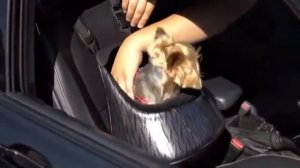 Подвесное автокресло для собак Toitert