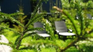 Обзор гостевых коттеджей А-фрэйм в Никитском подворье. Переславль-Залесский.