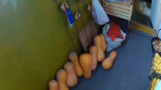 Польские грибы в октябре 2018 . Гречневая лапша с грибами - вкуснятина неимоверная ! смотреть онлайн