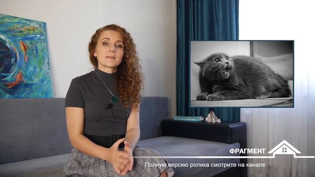 Самочувствие детей, поведение животных и состояние растений - показатель ЭНЕРГЕТИКИ ДОМА смотреть онлайн