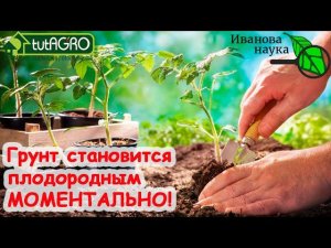 ПОЛОЖИТЕ ЭТО В ГРУНТ и он станет МОМЕНТАЛЬНО ПЛОДОРОДНЫМ Такой заправки хватит НАДОЛГО!