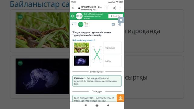 Жануарлардың қаңқа түрлері Жаратылыстану онлайн мектеп жауаптары 5 сынып