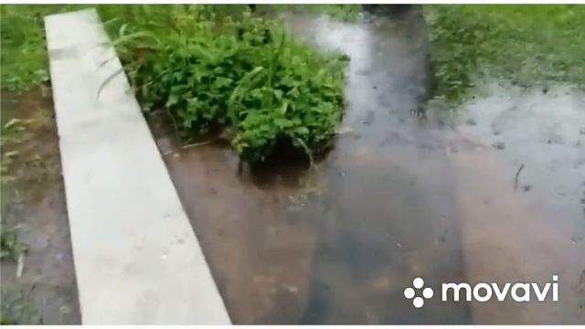 Эпицентр грозы ударил по дачному хозяйству родителей. Гроза в Подмосковье превратила в реку огород☹