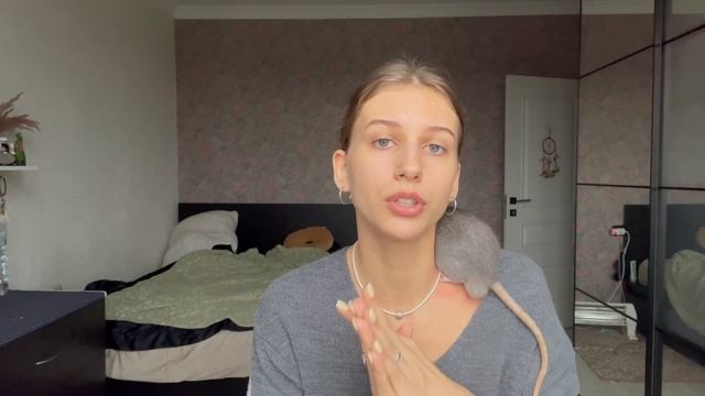 Что нужно купить крысе в первую очередь ? смотреть онлайн