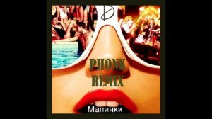 Дискотека Авария И Жанна Фриске - Малинки (PHONK Dikop Remix)