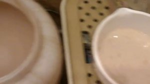 Сахарная брага простой рецепт.mp4