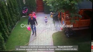 Отец спас ребёнка от собаки