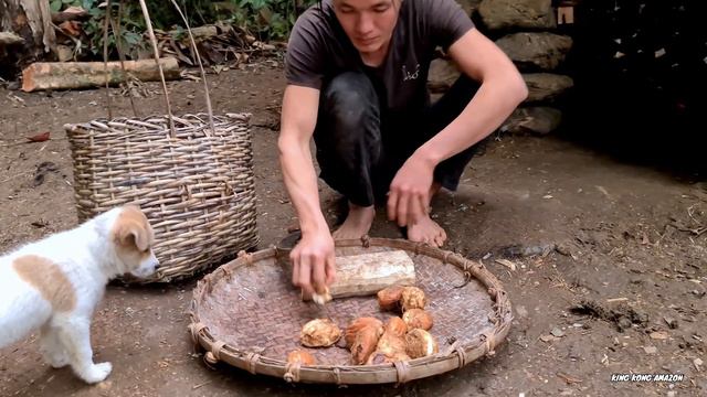 Strange Fruit Falling From The Sky, Survival Instinct, Wilderness Alone, survival, 171 смотреть онлайн