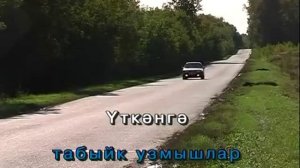 Яшьли сөйгән ярым.Татарча Караоке