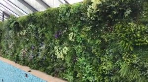 Фитостена из искусственных растений. Частный бассейн