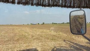 Готовим почву после подсолнечник под посев пшеницы.