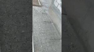 Как правильно армировать и собирать #отмостку во круг дома