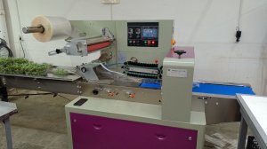 Упаковка тимьяна на горизонтальном упаковочном автомате MAGIKON 6000AGDPT с опцией газа