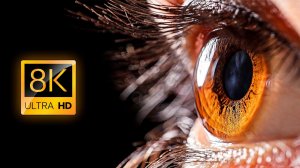 Повседневные объекты в макросъемке в 8K ULTRA HD / 8K TV