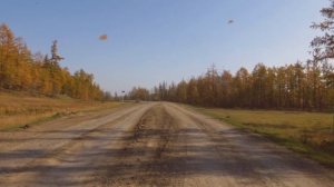 «Күһүҥҥү серенада» Раиса Захарова уонна Аркадий Алексеев