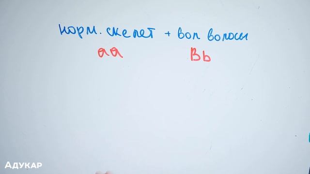 Генетика | Решение задач по генетике | Неполное доминирование | Биология |Решение генетических зада смотреть онлайн